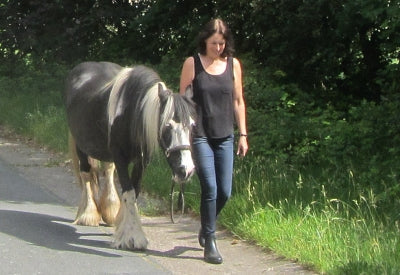 Mallanders Example Krankheiten – Sapodoris