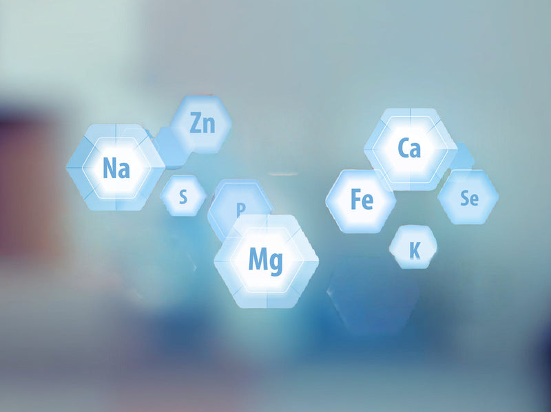 Mineralstoffe: Mengen- und Spurenelemente - wozu sind sie wichtig?
