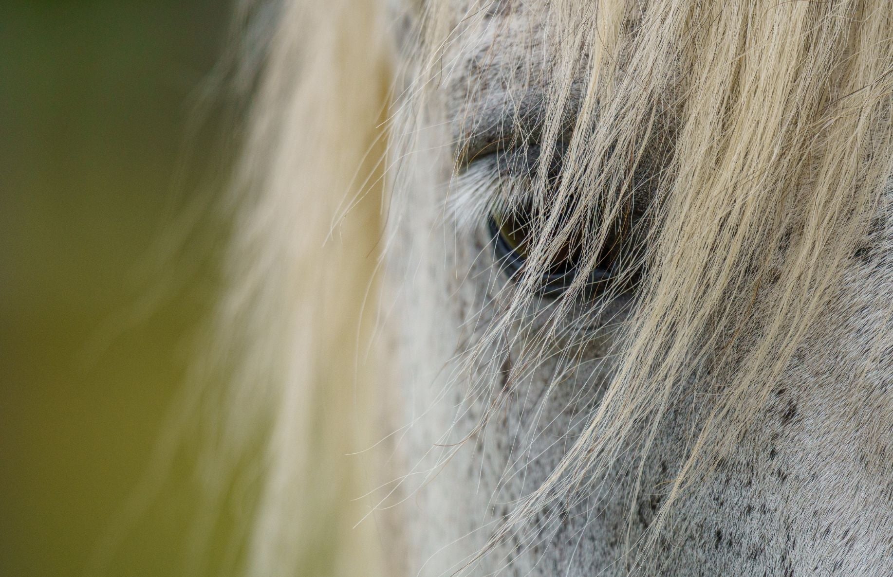 Bücher & Gutscheine
