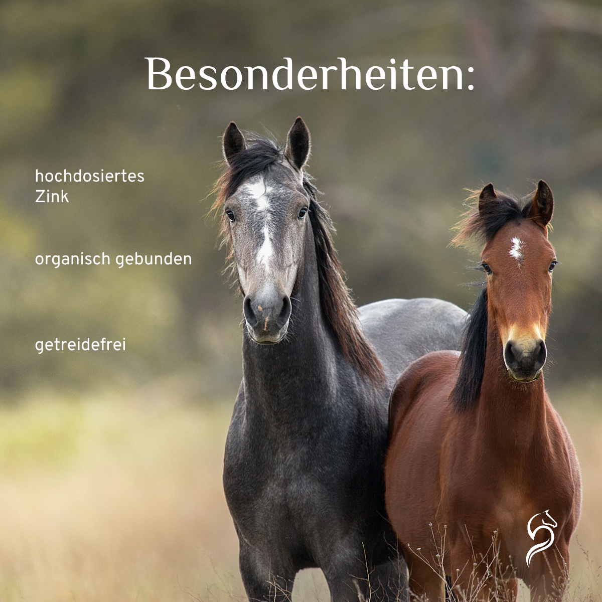 Sapodoris Zink
