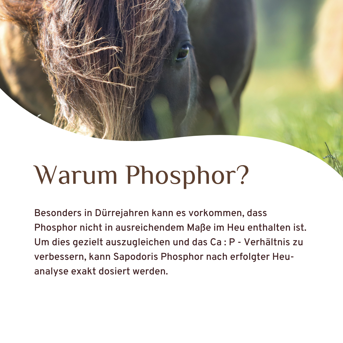 Phosphor