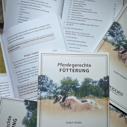 Buch1.jpg_1