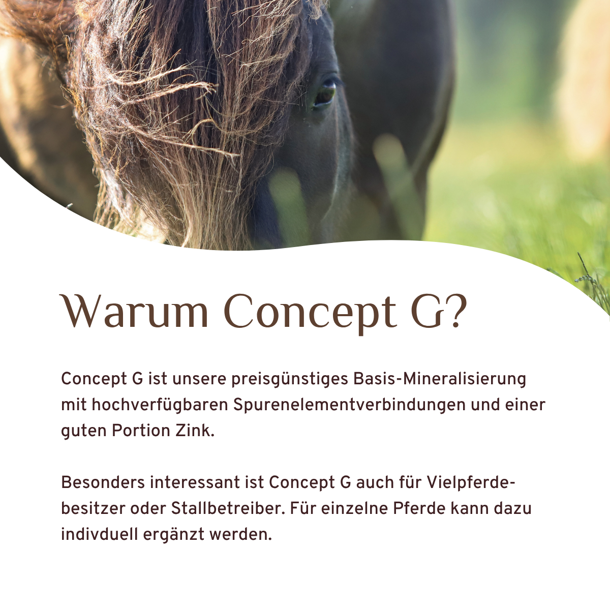Concept G