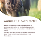 Huf-Aktiv forte