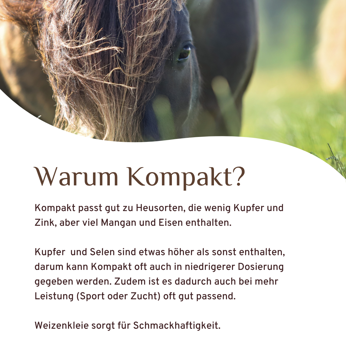 Kompakt