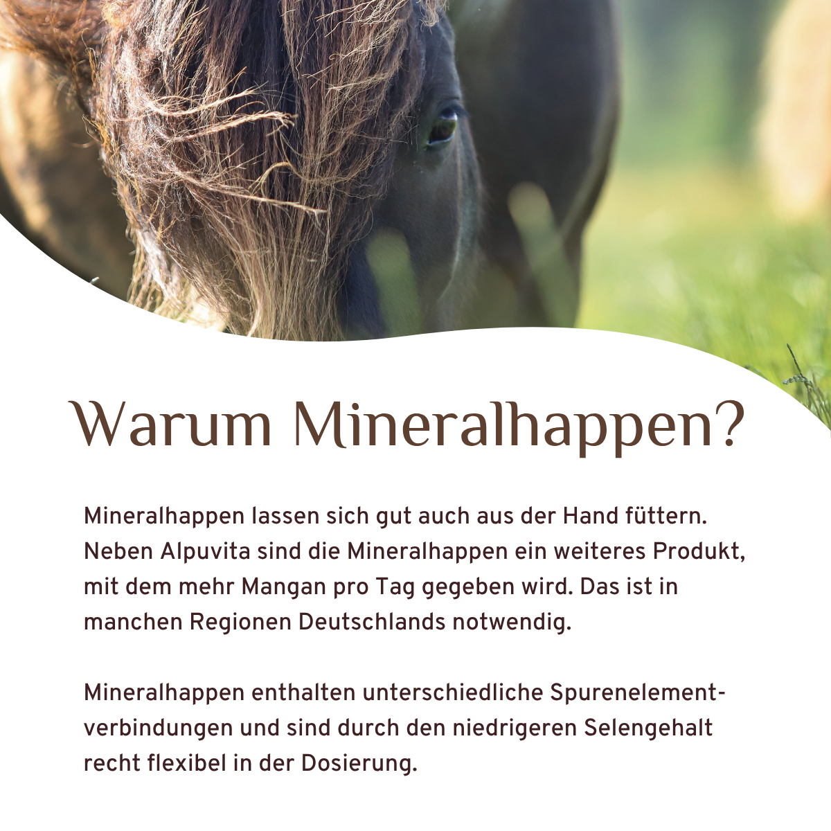 Mineralhappen