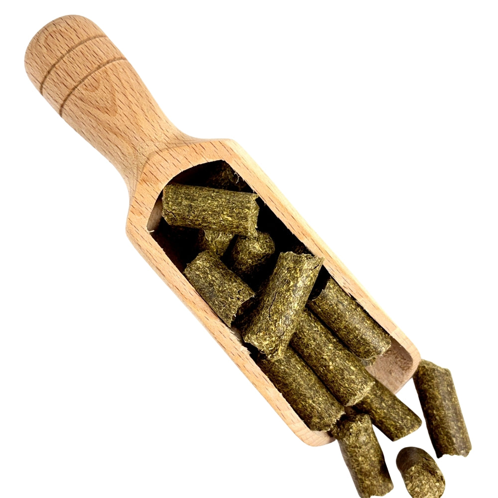 Minzlinge