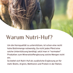 Nutri-Huf