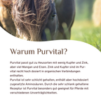 Purvital
