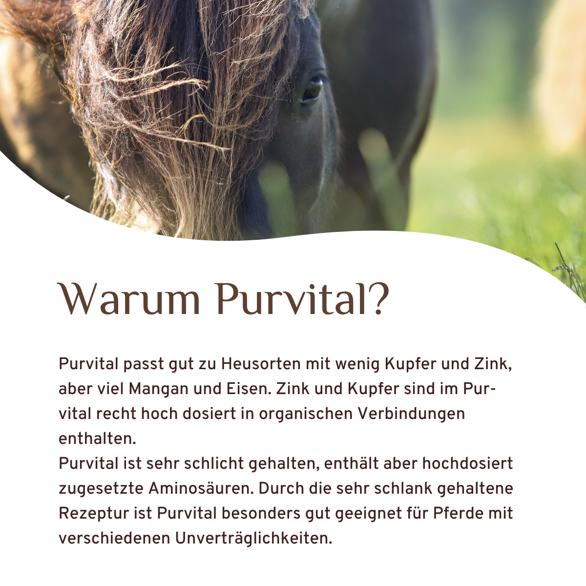 Purvital