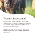 Saposoma