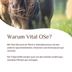 Vital OSe
