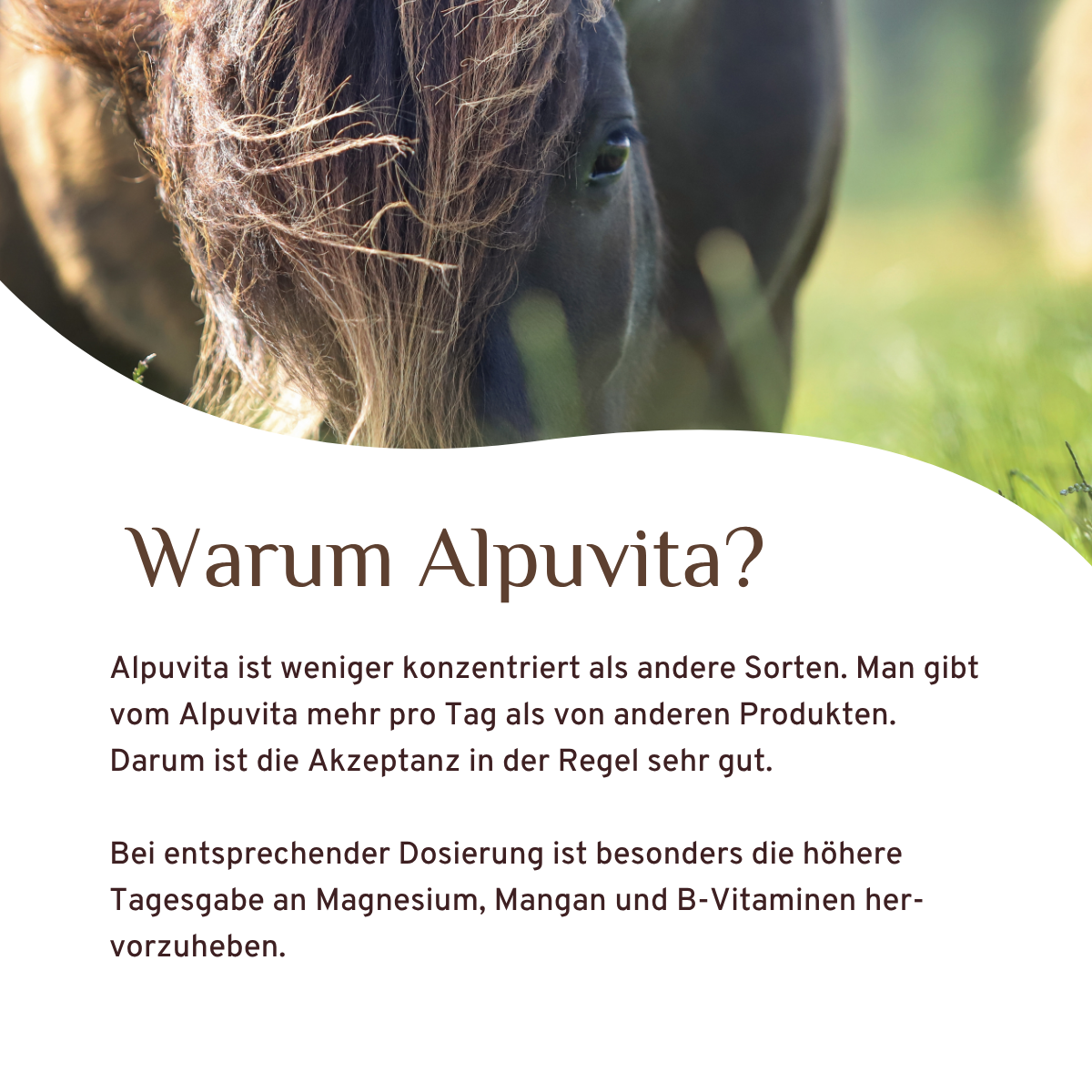 Alpuvita