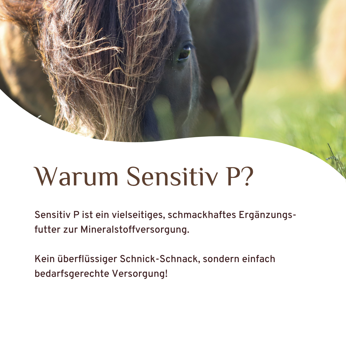 Sensitiv P