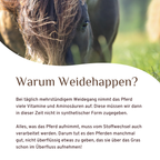 Weidehappen