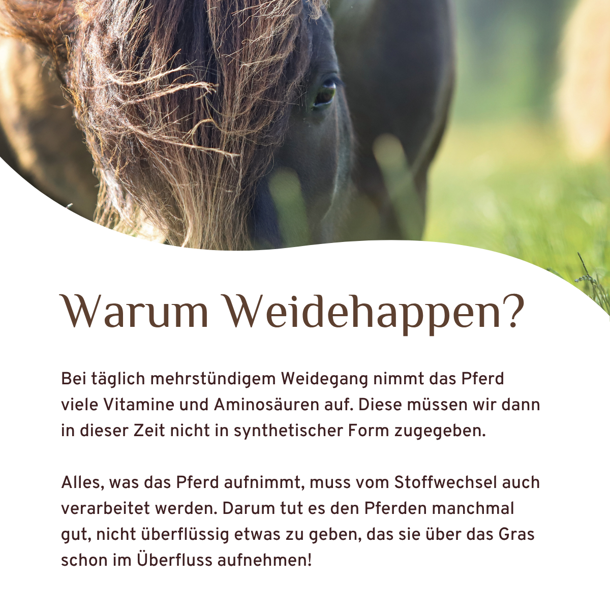 Weidehappen