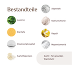 Zucht