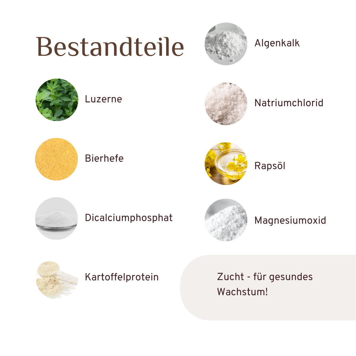 Zucht