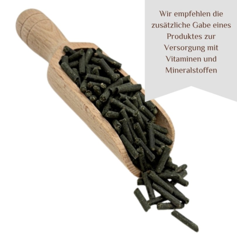 Muskelmino