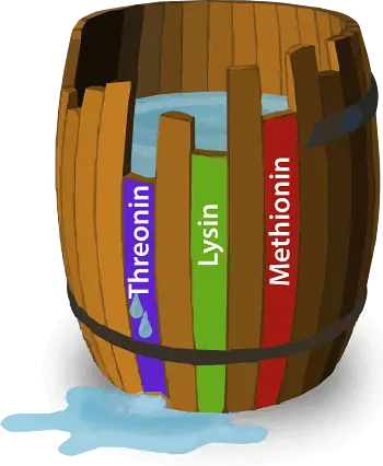 Minimumtonne