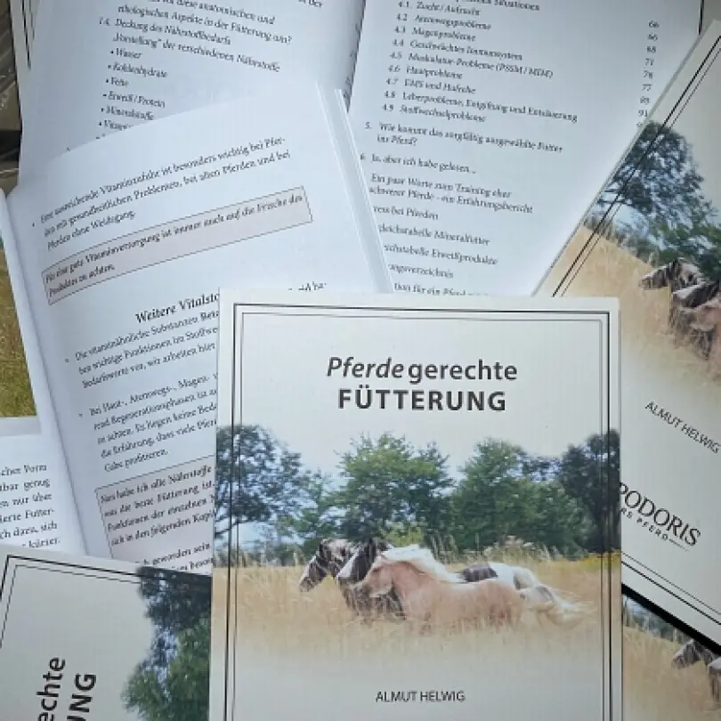 Buch1
